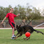 Jolly Pets Jolly Soccer Ball