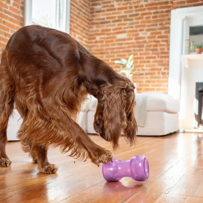 Outward Hound Double Snoop