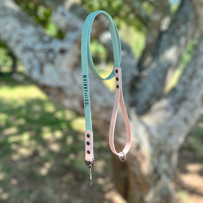 Biothane 1.2m Walking Leash - Sage & Powder