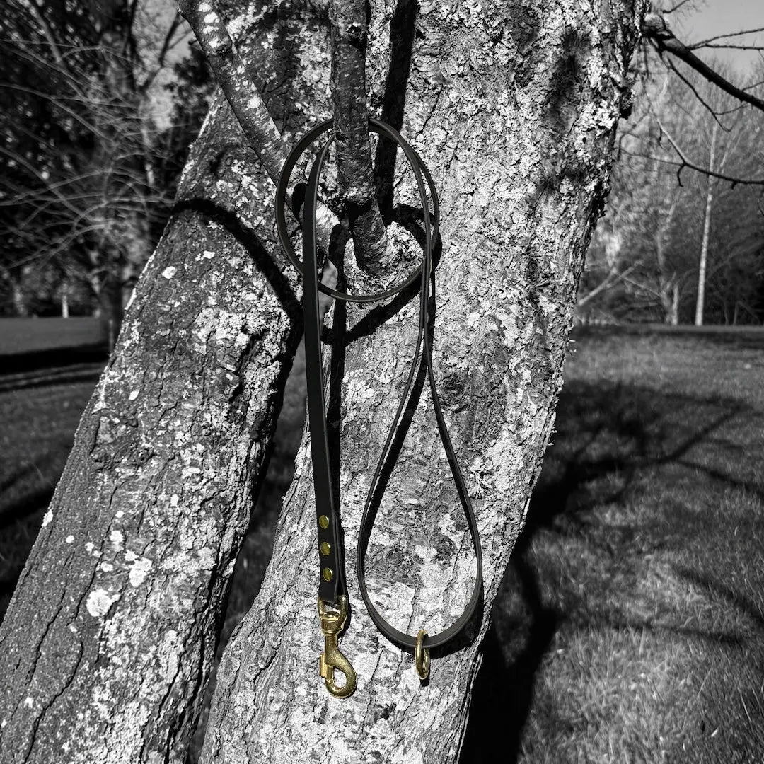 BioThane® 1.25m Walking Lead — Black & Brass | Heavy-Duty 19mm Whinny and Co