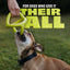 Benebone Bounce Tug – Natural Rubber Tug-of-War Dog Toy Benebone