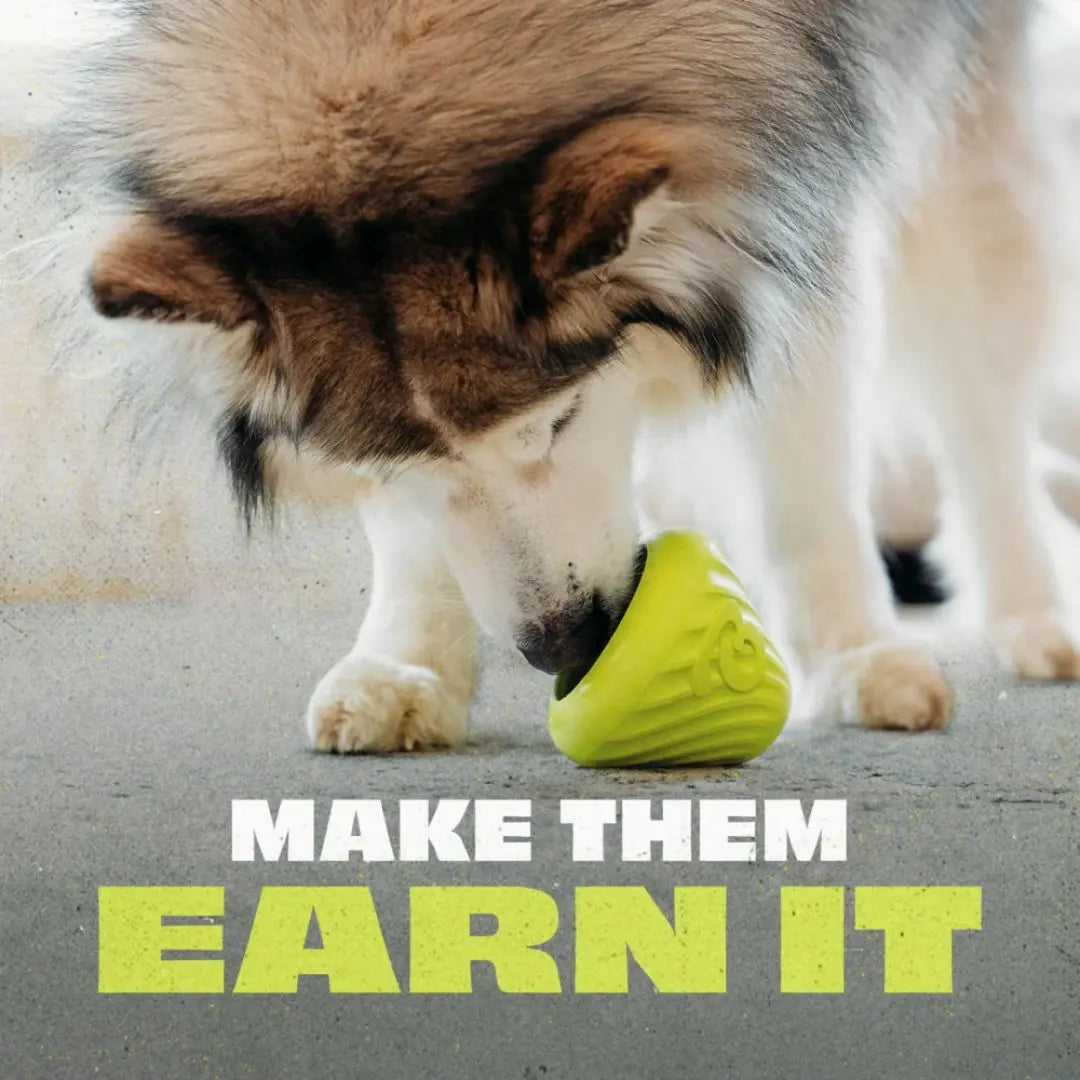 Benebone Bounce Cone – Natural Rubber Treat & Puzzle Toy for Dogs Benebone