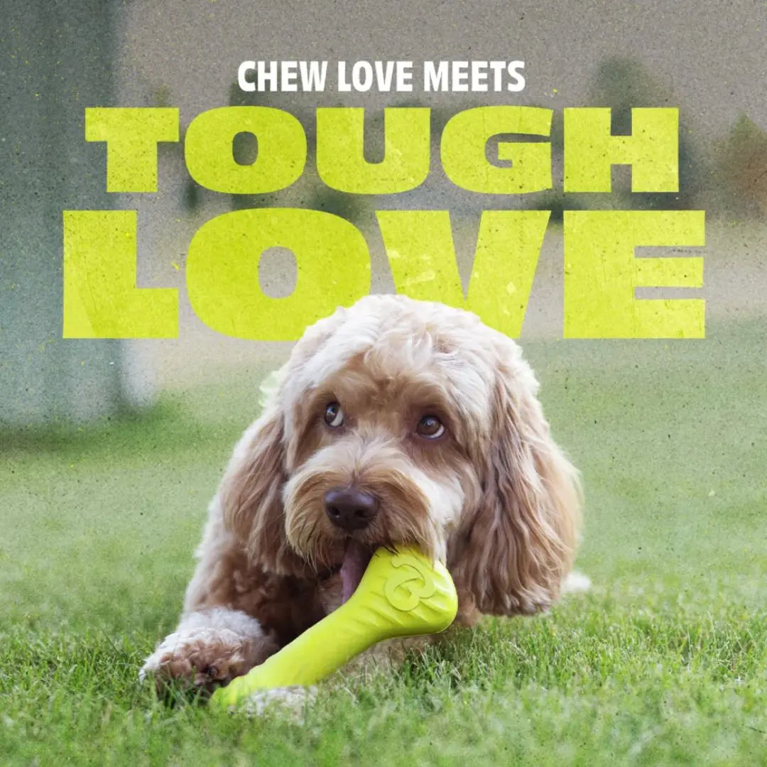 Benebone Bounce Bone – Natural Rubber Chew & Fetch Toy for Dogs Benebone