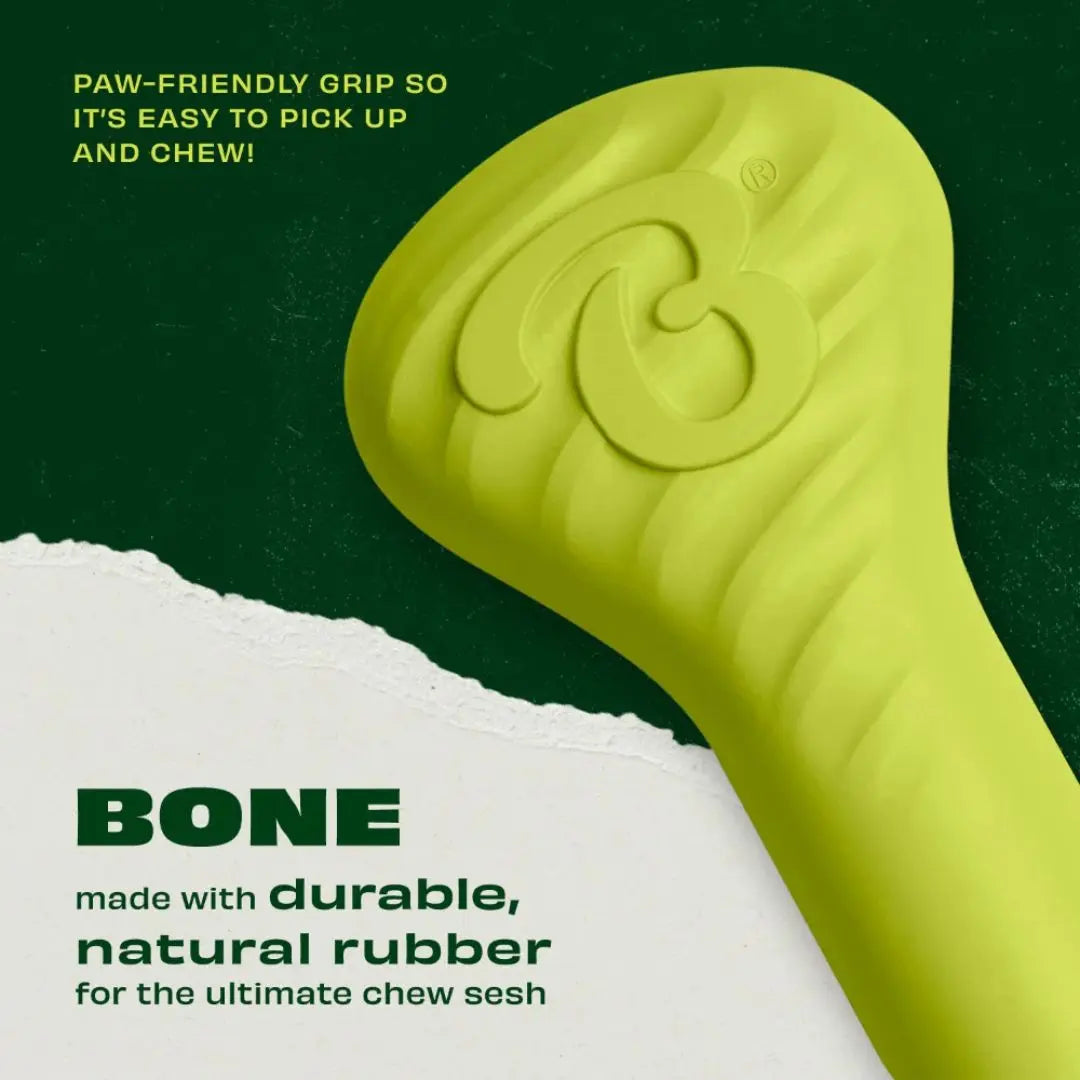 Benebone Bounce Bone – Natural Rubber Chew & Fetch Toy for Dogs Benebone