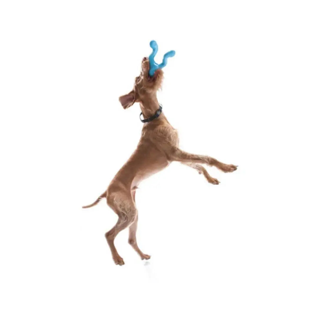 West Paw Zogoflex Tizzi Dog Toy — Large | Fetch, Tug & Treat Dispenser