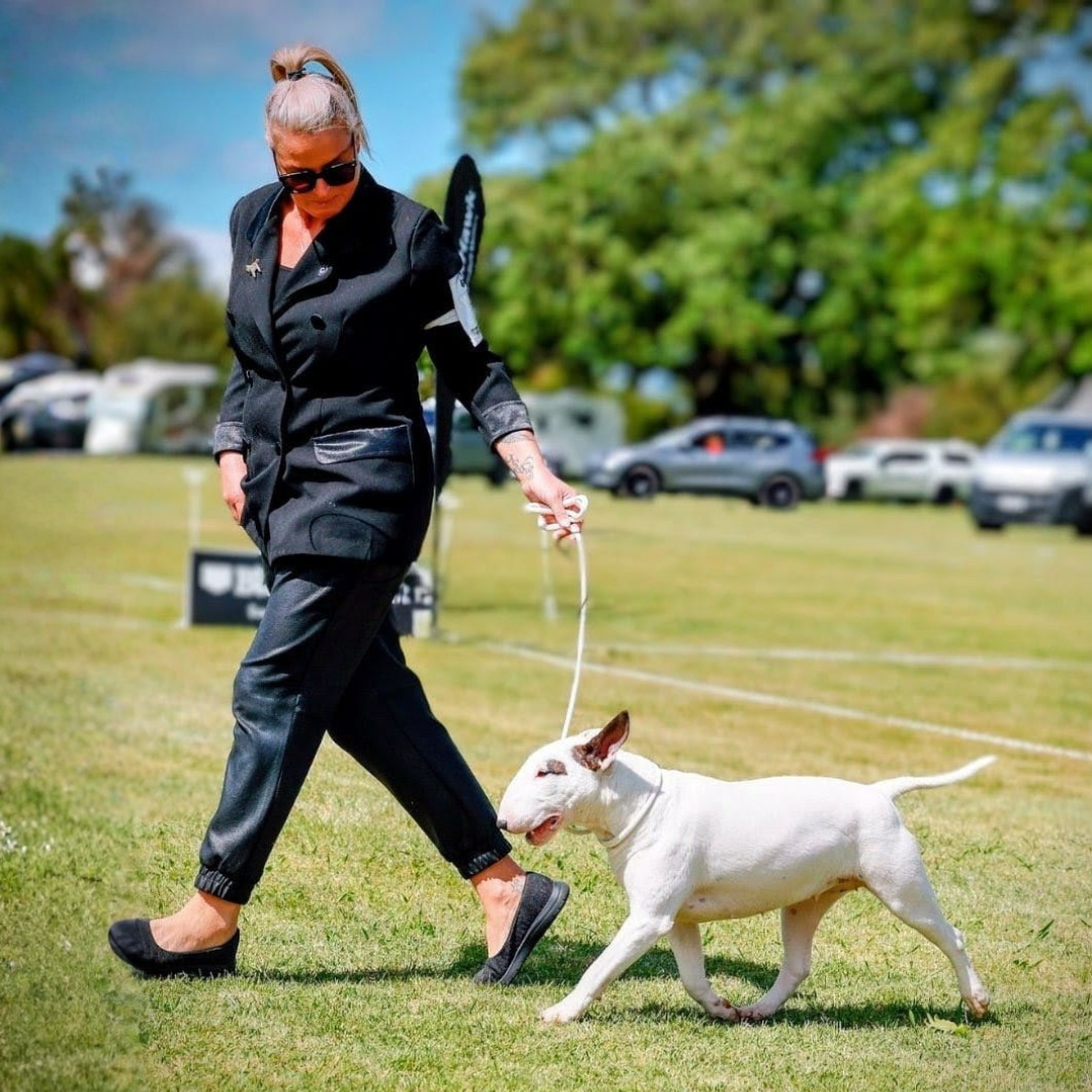 Woman in black outfit walking a white dog on a grassy field with cars and trees in the background