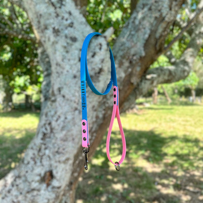Biothane 1.2m Walking Leash - Lagune & Pastel Pink