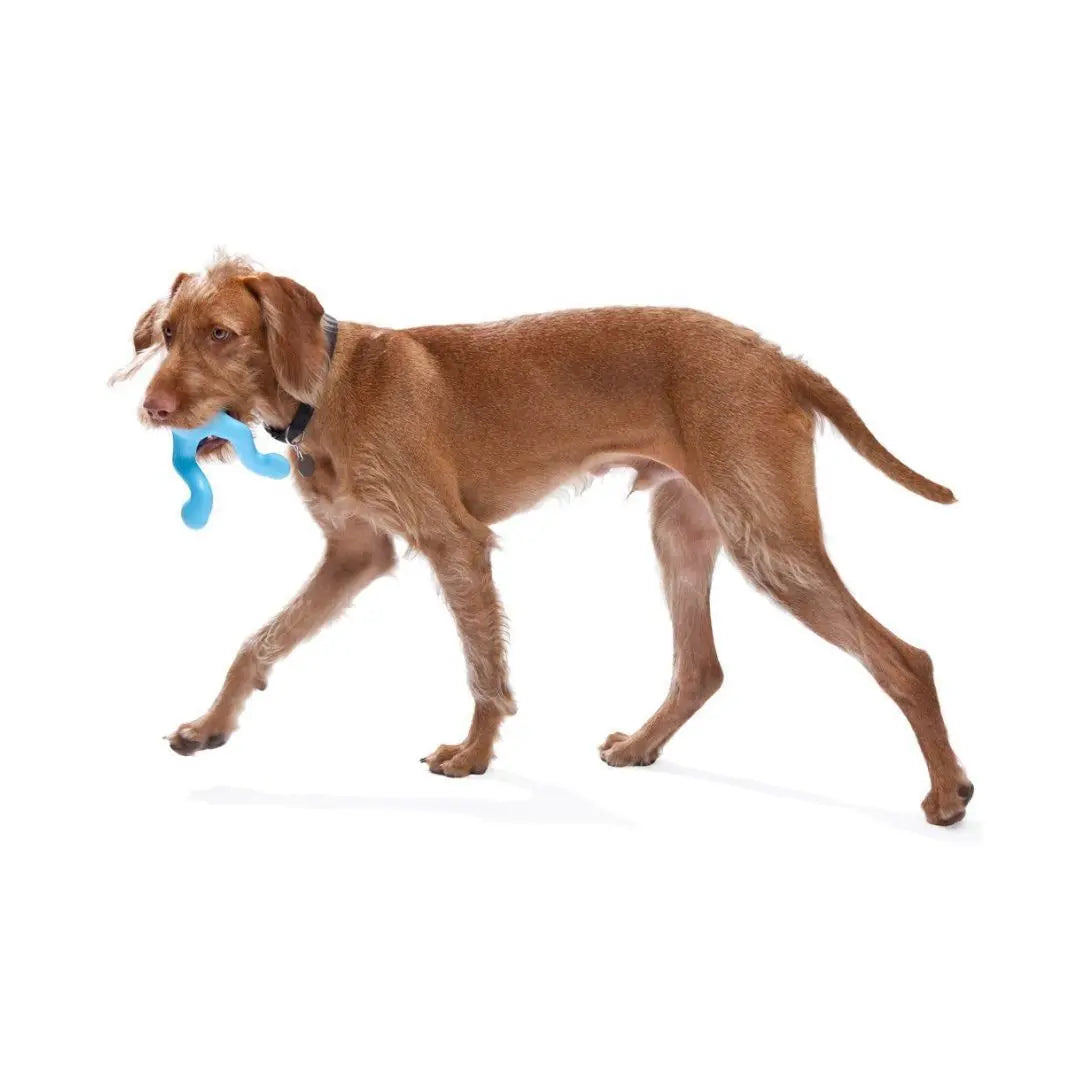 West Paw Zogoflex Tizzi Dog Toy — Large | Fetch, Tug & Treat Dispenser