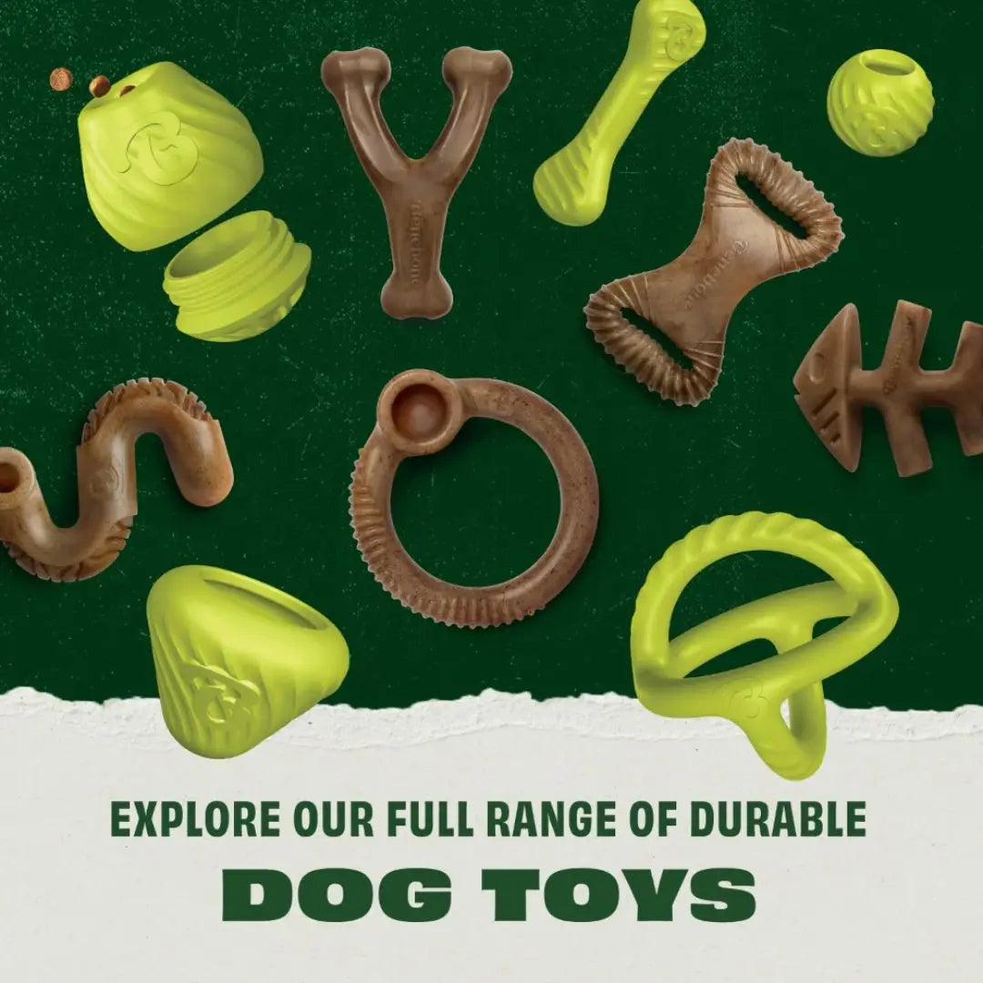 Benebone Bounce Bone – Natural Rubber Chew & Fetch Toy for Dogs Benebone
