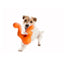 West Paw Zogoflex Tizzi Dog Toy — Large | Fetch, Tug & Treat Dispenser