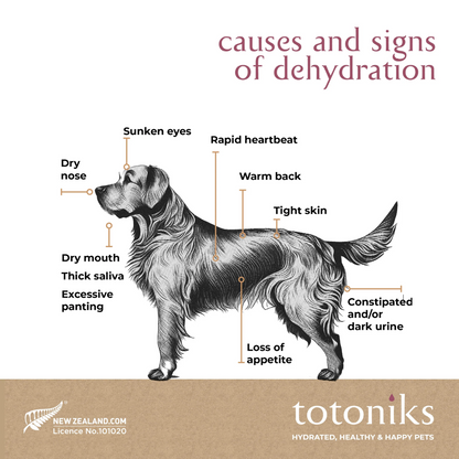 Totoniks - Gut Health & Hydration - Large Dog 15kgs