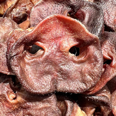 Bulk Dried NZ Pig Snouts