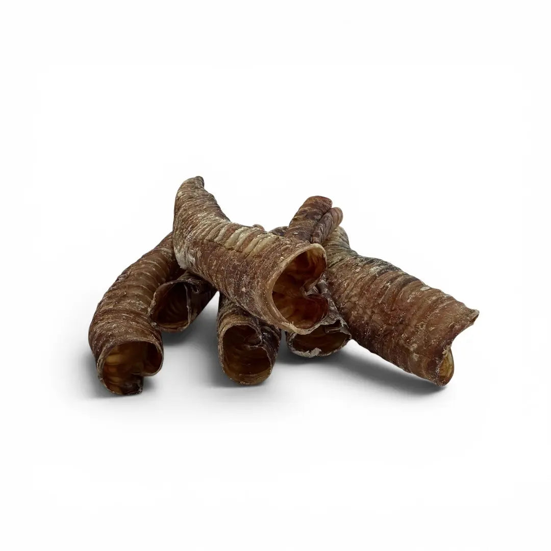 Bulk Venison Trachea 20pc — NZ Air-Dried Natural Dog Chews
