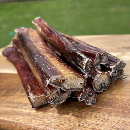 Bulk Bull Pizzle Sticks