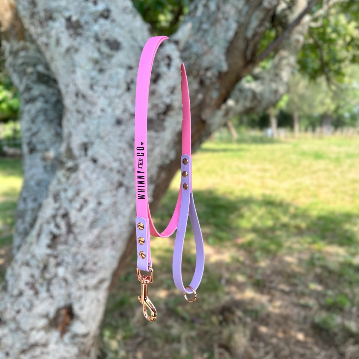 Biothane 1.5m Walking Leash - Pastel Pink & Pastel Purple