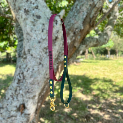 Biothane 1.5m Walking Leash - Wine & Dark Green