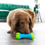 KONG Goodie CoreStrength Bone – Durable Chew & Play Toy for Medium/Large Dogs