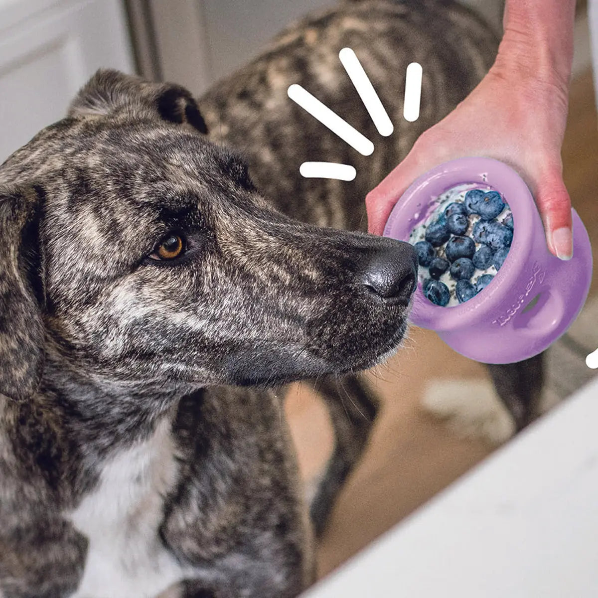 West Paw Toppl Lavender – Puzzle Treat Toy for Dogs West Paw