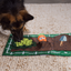 Outward Hound Activity Matz Garden Game Puzzle Mat