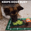 Outward Hound Activity Matz Garden Game Puzzle Mat