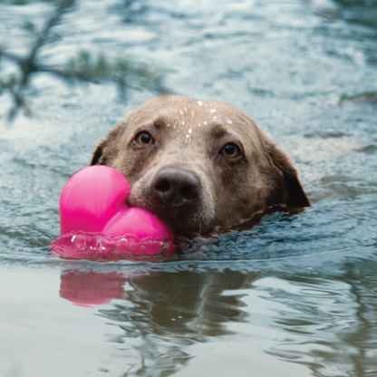 RuffDawg Dawg-Hart