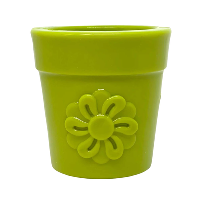 Sodapup Flower Pot