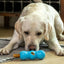 West Paw Flossr™ Dental Chew Toy & Treat Holder