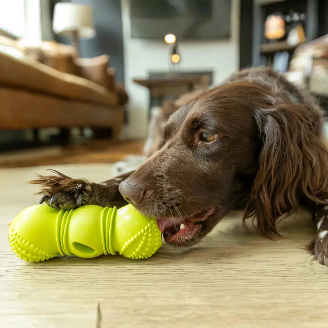 West Paw Flossr™ Dental Chew Toy & Treat Holder
