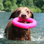 RuffDawg Dawg-Ring – Floating Rubber Fetch & Tug Ring (Regular & XL)