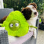 Smashy the Avocado - Plush Dog Toy - 100% recycled material