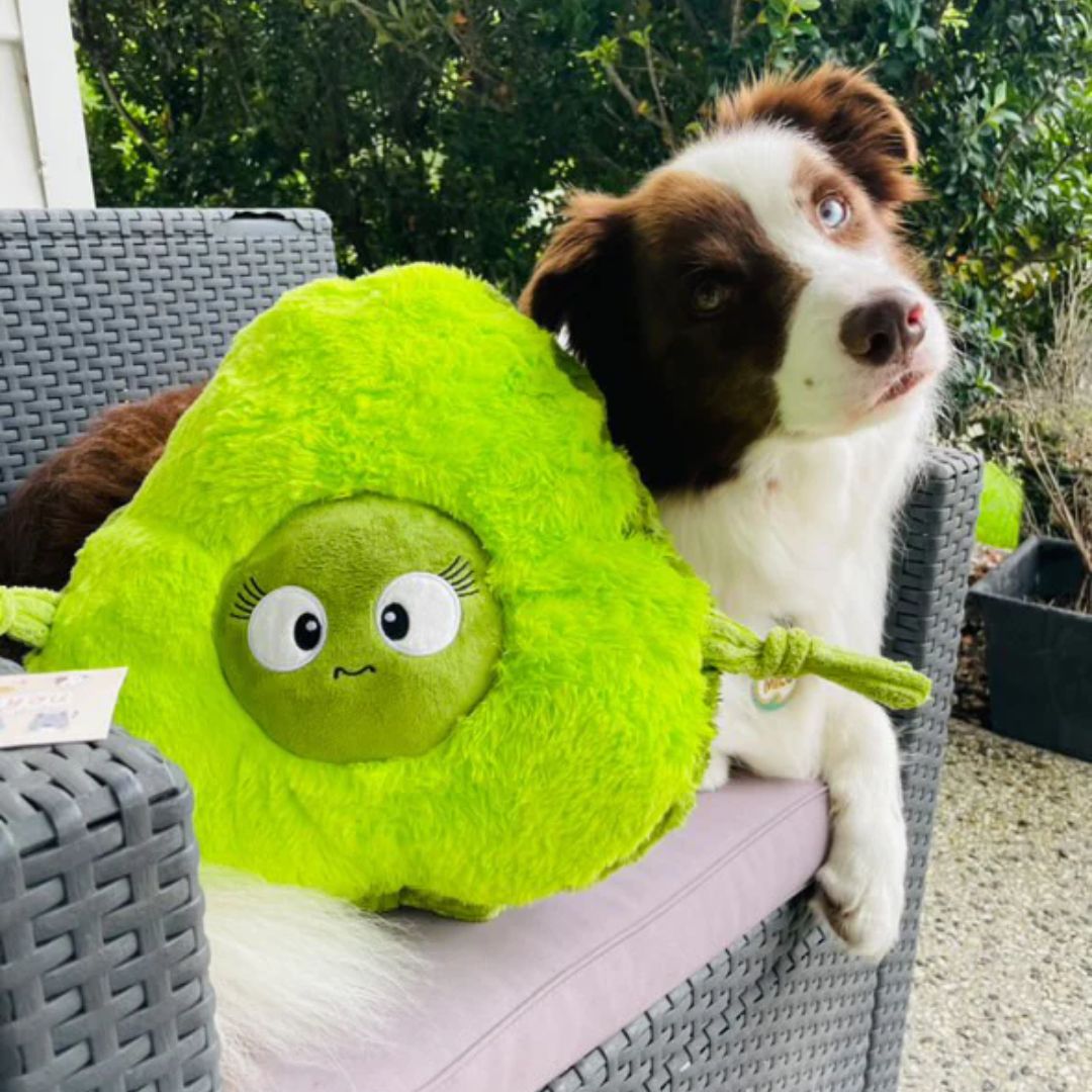 Smashy the Avocado - Plush Dog Toy - 100% recycled material