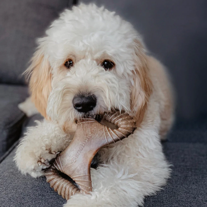 Benebone Dental Chew