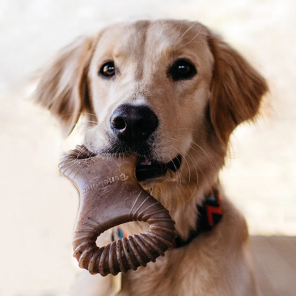 Benebone Dental Chew