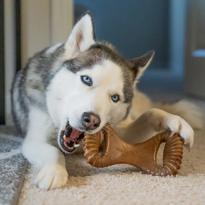Benebone Dental Chew