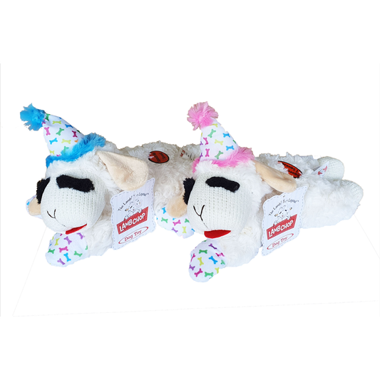 Birthday Lamb Chop 25cm