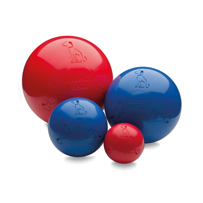 Boomer Ball Dog Toy
