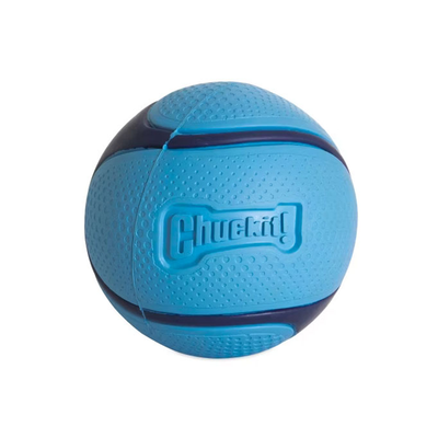 Chuckit Sniff Fetch Balls