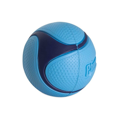 Chuckit Sniff Fetch Balls