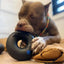 Goughnuts Ring Original - Heavy Duty Thorncombe Pet Supplies