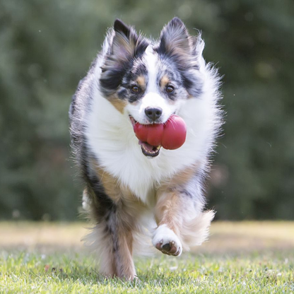 Kong Classic Dog Toy