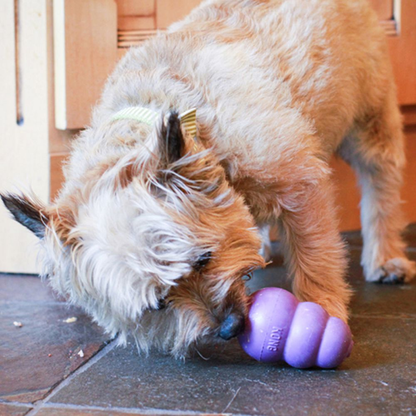 Kong Senior Dog Toy