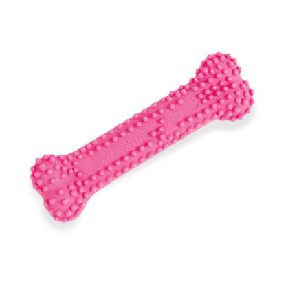 Nylabone Puppy Dental Chew