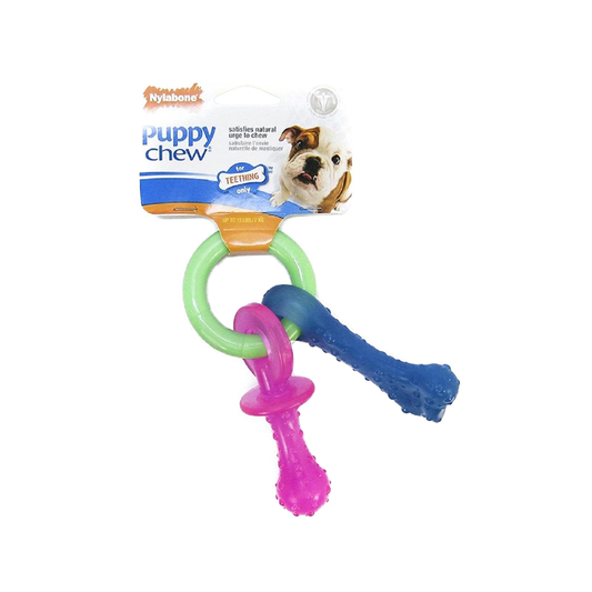 Nylabone Puppy Pacifier Teething Toy