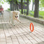PitchDog Fetch Ring