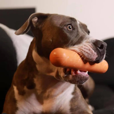 Goughnuts Stick – Original Heavy-Duty Chew & Play Toy for Dogs Goughnuts