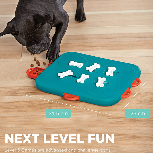 Outward Hound Nina Ottosson Puppy Lickin' Layers Interactive Dog Puzzle  Game and Slow Feeder for Puppies