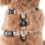 Pablo & Co Strap Harness Lil Shit 2.0