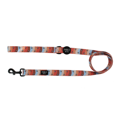 Pablo & Co Retro Stars - Leash