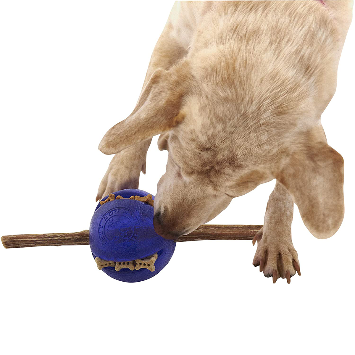 Planet Dog Guru Puzzle Ball
