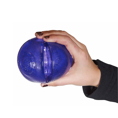 Planet Dog Guru Puzzle Ball